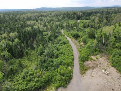 dji_fly_20240718_120504_10_1721320790061