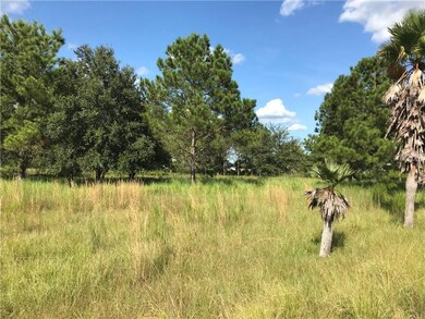 10435 COUNTY ROAD 39, DUETTE, FL 34219