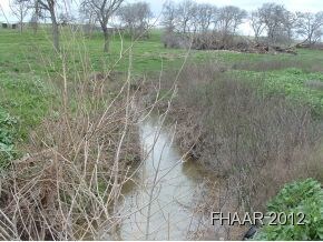 000 Quail Trail, Temple, TX 76501 - photo 6