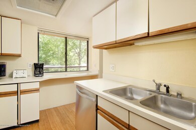 1232 Vine St unit 1232, Aspen, CO 81611 - photo 7