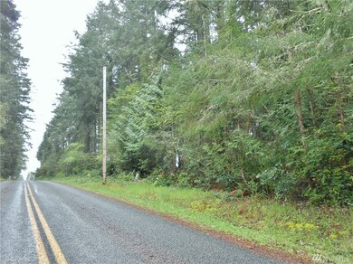 8914 Otso Point Rd, Anderson Island, WA 98303 - photo 2