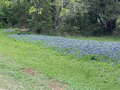 27021 Stonewood Dr, Whitney, TX 76692 - photo 3