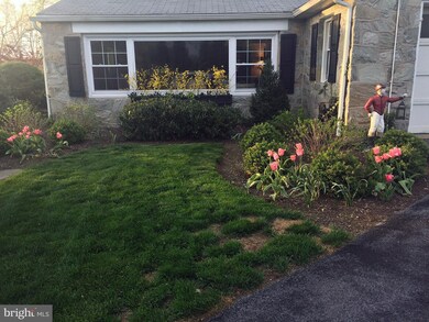 1009 Barberry Rd, Reading, PA 19611 - photo 6