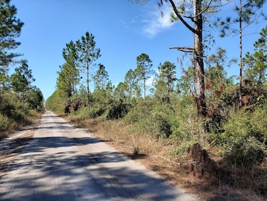 0 SW Prine Rd unit 19597163, Lee, FL 32059 - photo 4