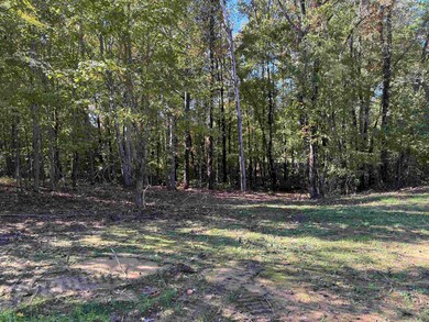 0 Bethuel Rd unit Lot 7, Unincorporated, TN 38053 - photo 5