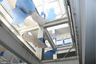 1011 Hunter St unit C2, Baltimore, MD 21202 - photo 6