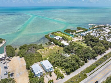 local sandbar behind property