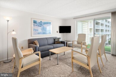 Thunder Island unit 73B, Ocean City, MD 21842 - photo 4