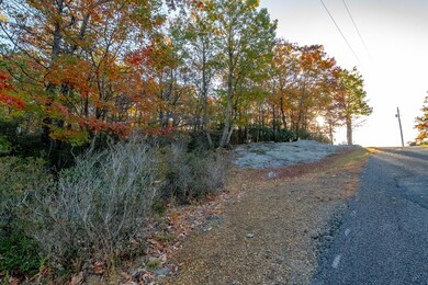 Moonlight Ln, Fancy Gap, VA 24328 - photo 4