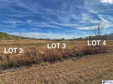Lot 2 Catfish Church Rd, Latta, SC 29565 - photo 5