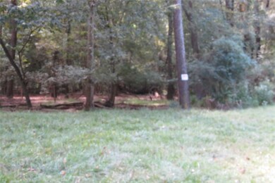 10.24 Acres Townley Ranch Rd, Dodge, TX 77320 - photo 4