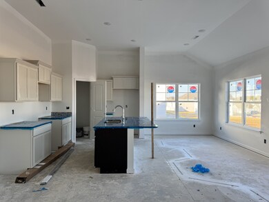 229 Millet St, Shelbyville, TN 37160 - photo 5