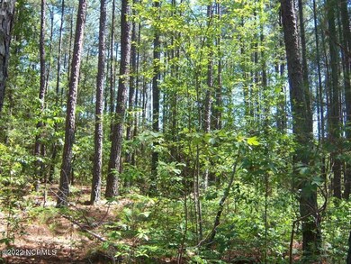LOVELY WOODED LOT