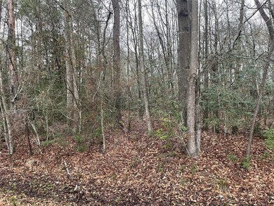 00 Allendale Ln, Conroe, TX 77302 - photo 2