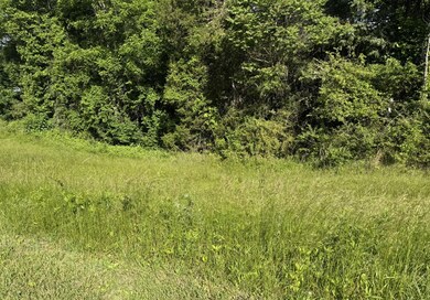 5.22 Acres Green Level Road