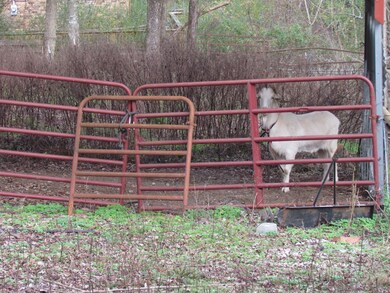 198 Lock Seven Ln, Carthage, TN 37030 - photo 6