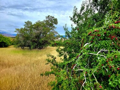 TBD Mesa Rd, Mesa, ID 83643 - photo 3