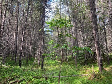 139 Graham Grove Ln, Trout Creek, MT 59874 - photo 7