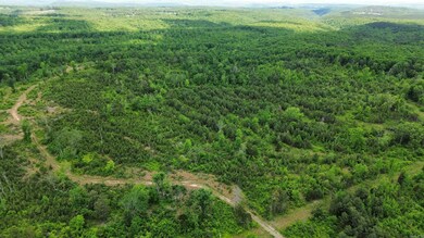 0 Shady Grove Rd unit 25018731, Shirley, AR 72153 - photo 7