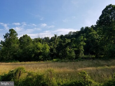 0 Slate Mills Rd unit VARP106142, Sperryville, VA 22740 - photo 7