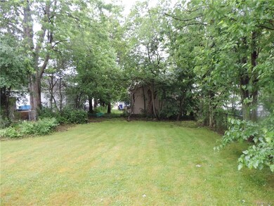 The back yard.
