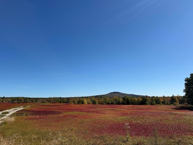 MAP31LOT29 Land-Perkins, Blue Hill, ME 04614 - photo 2