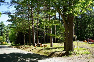 905 Ski Tow Rd, West Windsor, VT 05037 - photo 2