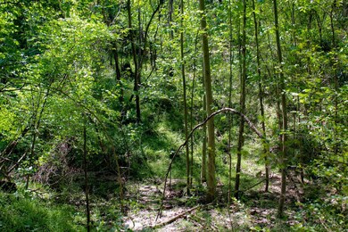 TBD S Highway 61, Vicksburg, MS 39180 - photo 2