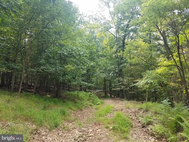 Lot 70 Driftwood Dr, Valley, WV 25420 - photo 7