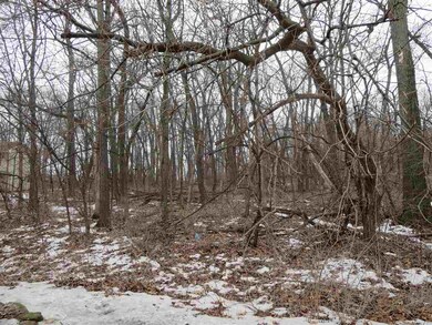 L27 Meander Wood Rd, Rutland, WI 53575 - photo 2