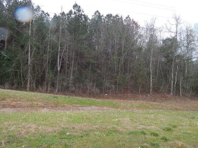 0 Buddy Price Rd unit 129426, Prentiss, MS 39474 - photo 5