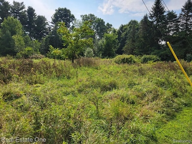 ABC Hemingway Lake, Otter Lake Vlg, MI 48464 - photo 4