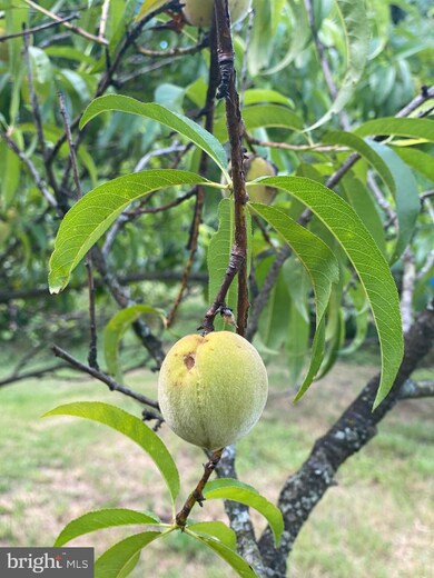 33 S Laurel Ave, Berkeley Springs, WV 25411 - photo 5