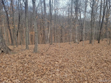 437 Big River View, Meramec Township, MO 63025 - photo 2