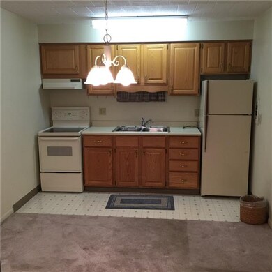 Efficient kitchen with double sink, electric stove