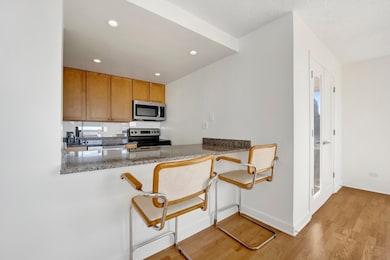 30 E Huron St unit 3204, Chicago, IL 60611 - photo 6