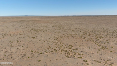 3750 S Prickly Pear Wash, Williams, AZ 86046 - photo 3