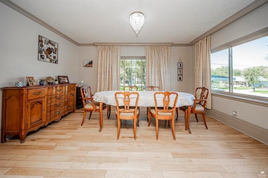 205 S Bridge St, Enterprise, KS 67441 - photo 6