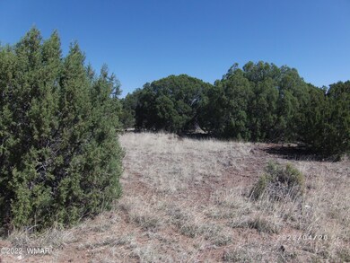 white-mountain-lakes-land-for-sale-4