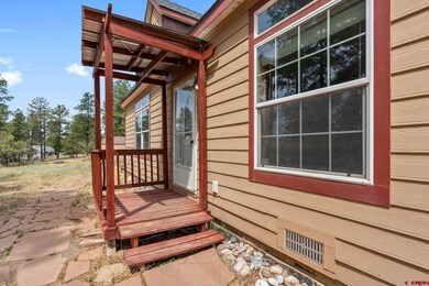 321 Meadow View Rd, Durango, CO 81301 - photo 5