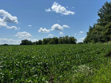 W1495 King Rd, Brooklyn, WI 53521 - photo 4