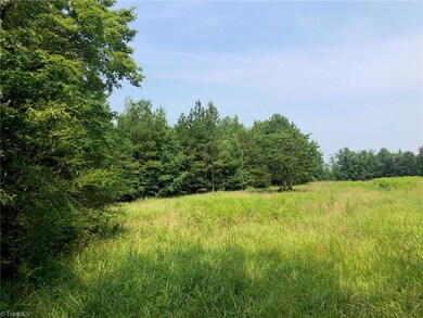 5698 Burney Mill Rd, Denton, NC 27239 - photo 4