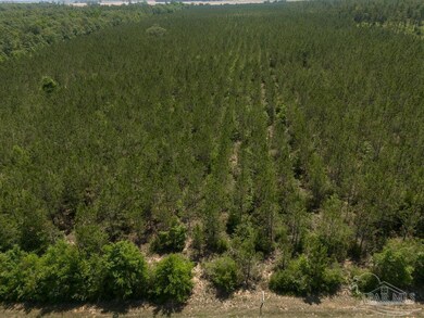 2 Bud Diamond Rd, Jay, FL 32565 - photo 3