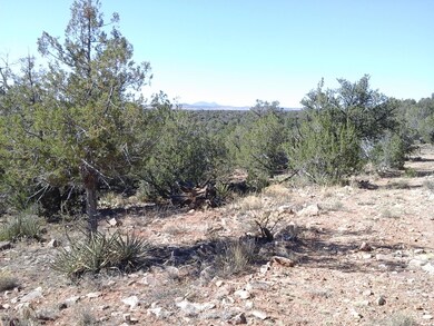LOT 5 NORTH