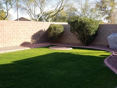 Backyard 1