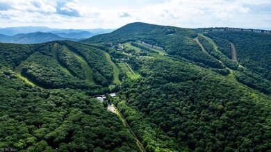 Wintergreen Mountain