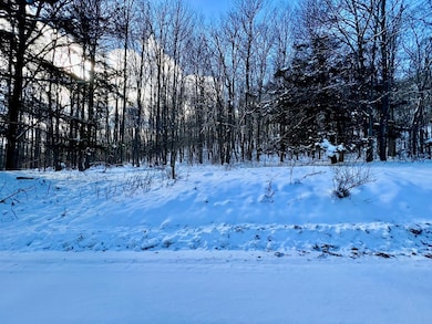 00 Brizzee Hollow, Genesee, PA 16923 - photo 4