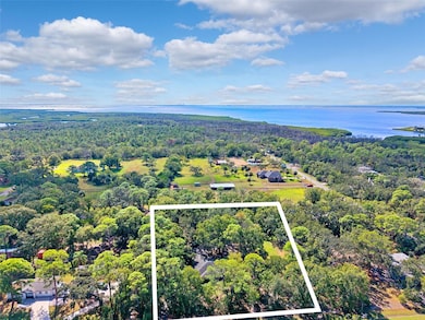 12210 State St, Tampa, FL 33635 - photo 2