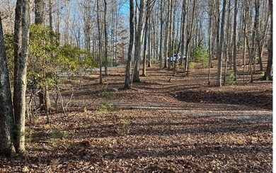 Additional View