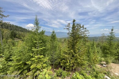 1728 Rugged Trail, Sagle, ID 83860 - photo 7